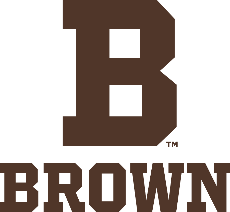 Brown Bears 2022-Pres Secondary Logo v7 diy DTF decal sticker